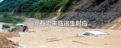 ​泥石流来临逃生时应快速往山下跑 泥石流来临逃生时应干什么