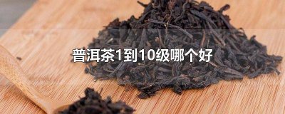 ​大益茶几级最好 大益几级茶好