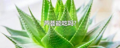 ​芦荟能吃吗有什么功效 芦荟能吃吗怎么吃炒着吃还是拌着吃