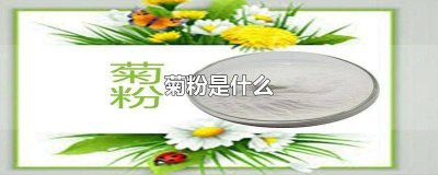 ​菊粉含有什么成分 菊粉是什么成份