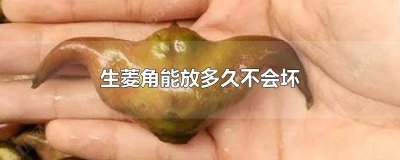 ​生菱角保存多久 菱角怎么长时间保存方法