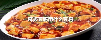 ​麻婆豆腐一般用什么豆腐做 制作麻婆豆腐用什么豆腐