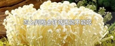 ​哪样的金针菇不能吃 金针菇跟什么不能吃