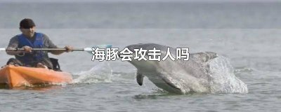 ​海豚会不会伤害到任何人 海豚伤害过人吗