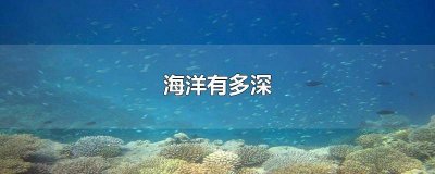 ​海洋的最深处有多深 海洋深处都有什么