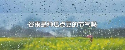 ​谷雨前后种瓜点豆是关于天气的谚语吗 是谷雨前后种瓜点豆还是清明前后种瓜点豆