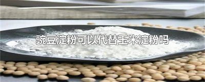 ​豆粉能代替玉米淀粉吗 玉米淀粉能代替豌豆淀粉吗