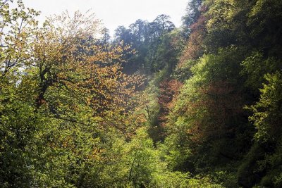 ​黑竹沟风景区旅游攻略