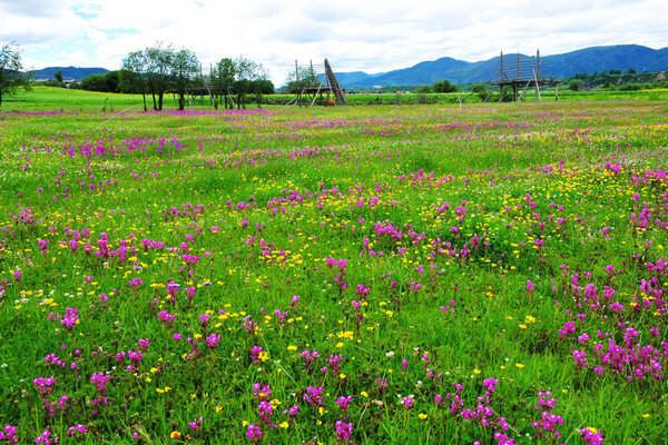 1、香格里拉大草原