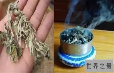 ​蚊子怕什么？巧妙利用身边的小东西消灭蚊子