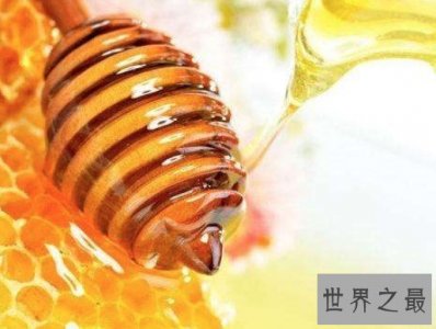 ​世界上最贵的蜂蜜，售价高达每公斤5000欧