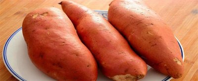 ​吃了红薯反胃酸怎么办 吃红薯会反胃恶心吗