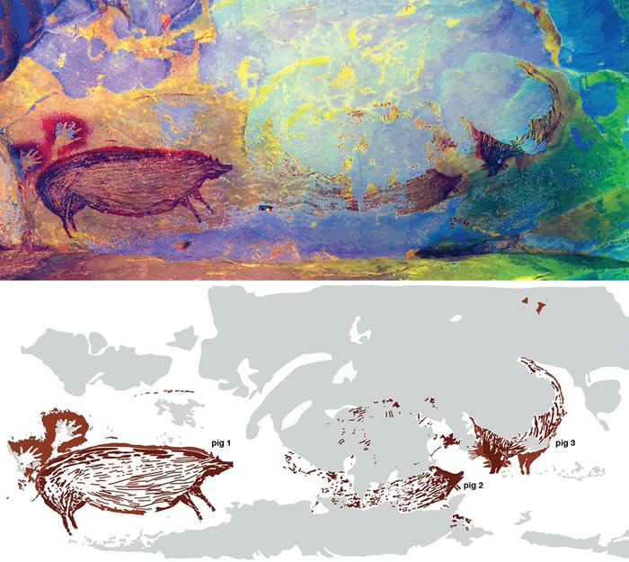 印度尼西亚苏拉威西岛石灰岩洞穴中发现4万5千多年前疣猪壁画