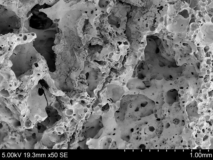 约旦发现14400年前的面包 比农业出现还早4000年