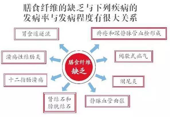 肠道里竟然有10斤垃圾!还好有ta!