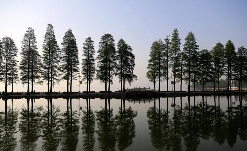 东湖梨园，美丽的风情吸引人，作为游客理想的驿站，一来不想走了