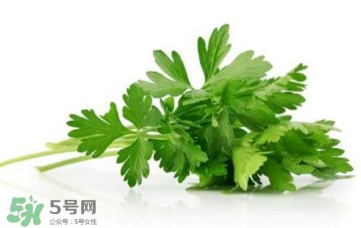 芹菜叶能吃吗？芹菜叶可以吃吗