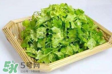 芹菜叶能吃吗？芹菜叶可以吃吗