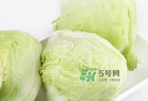 球生菜的营养价值_球生菜的功效与作用及食用方法