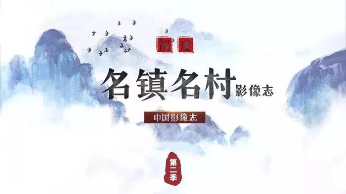 响亮的名片！“政和白茶，中国味道”！