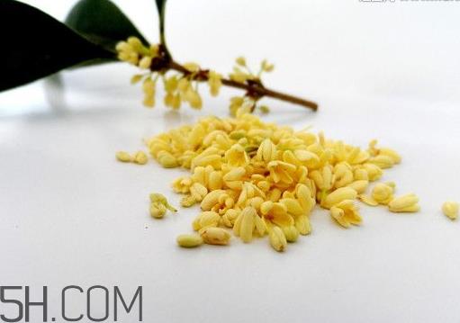 黄桂花可以泡茶吗 红桂花泡茶好还是黄桂泡茶好