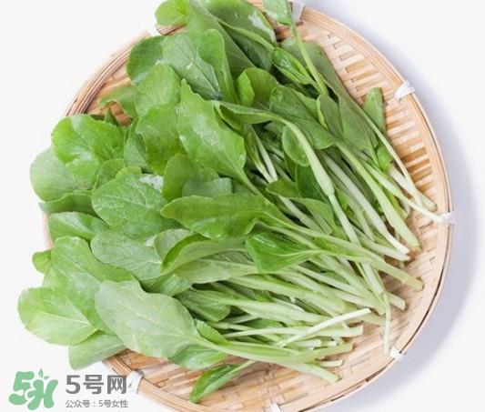 鸡毛菜有什么营养价值？鸡毛菜的功效与作用