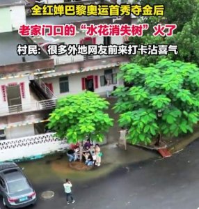 ​全红婵家门口的“水花消失树”火了 成网红打卡地