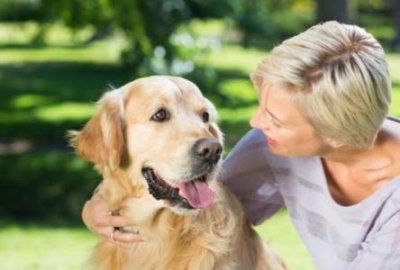 ​比格犬一生认几个主人 比格犬认主吗？