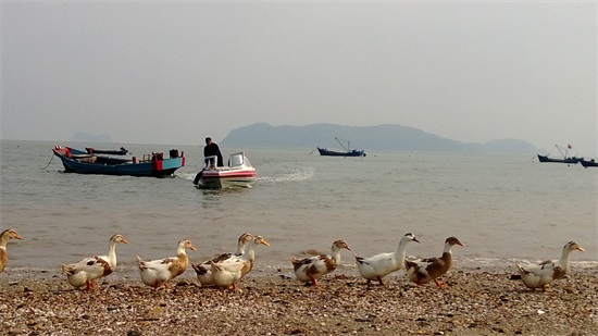 原创‖ 庄河：石城岛——2016夏季海岛旅行的好去处