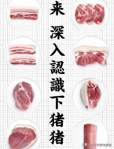 ​8张图，教你认识猪身不同部位的肉，从此再也不怕去菜市场买猪肉