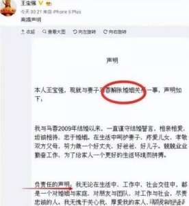 ​王宝强秘恋马蓉出国宋喆出狱？六年前的离婚风波终落幕