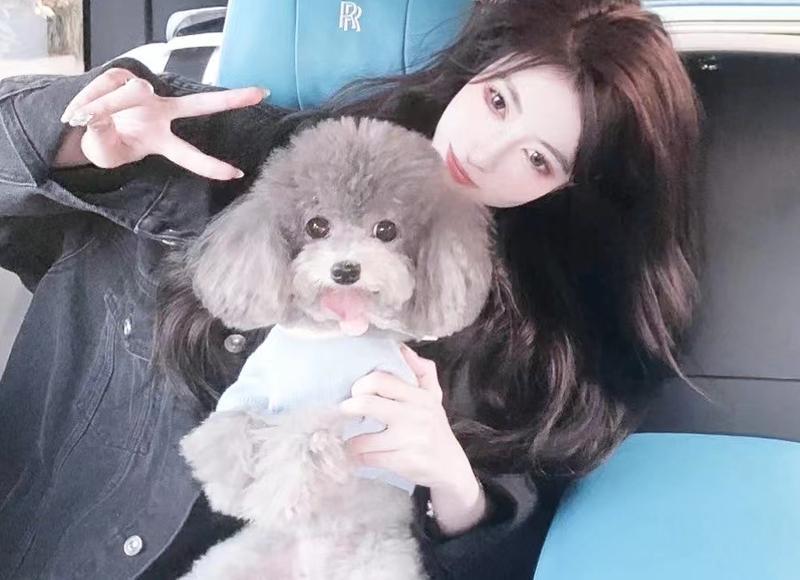 结婚证件照衣服要求，结婚证件照穿衣禁忌