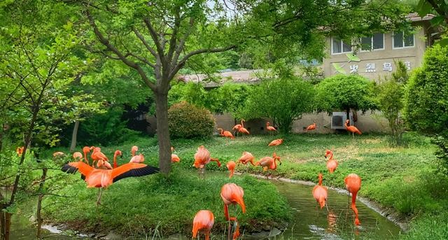 青岛市最值得去的景点是哪里(青岛五大景点不去是遗憾)(6)