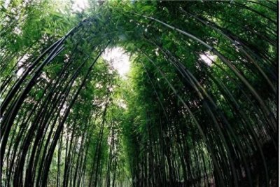 ​＂中国竹笛之乡＂——余杭中泰铜岭桥，看笛二代如何玩转笛子