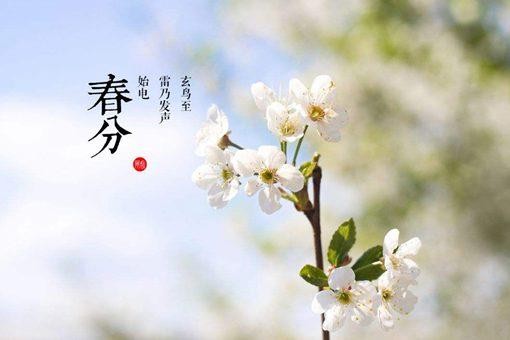 春分为什么要竖蛋?