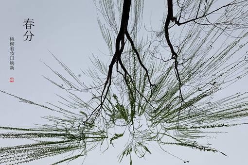 春分为什么要竖蛋?