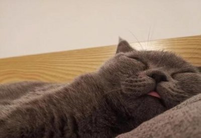 ​大专可以去韩国留学吗?(专科毕业可以去韩国留学吗)