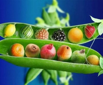 ​水果vc之王是哪种水果(vc之王的水果)