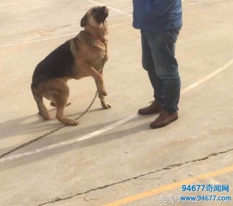 ​灵异事件之：工厂遇到白衣女鬼