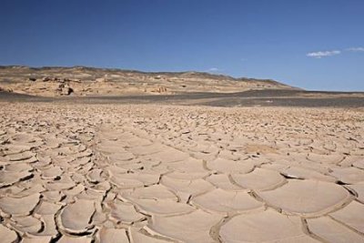 ​杨四郎是哪位？探索关于杨四郎的千年未解之谜