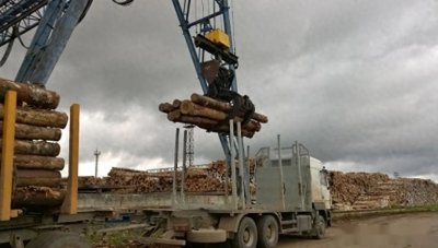 ​现存世上最硬木材：子弹射不穿，刀斧劈不烂，却被我国大量收购