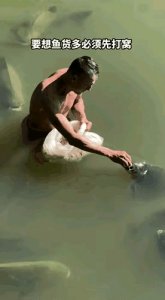 ​48张搞笑动图，你能忍到第几张？别看，一会就轮到你了