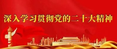 ​【奋进新征程 建功新时代】捐赠分类垃圾桶，绿色理念进校园