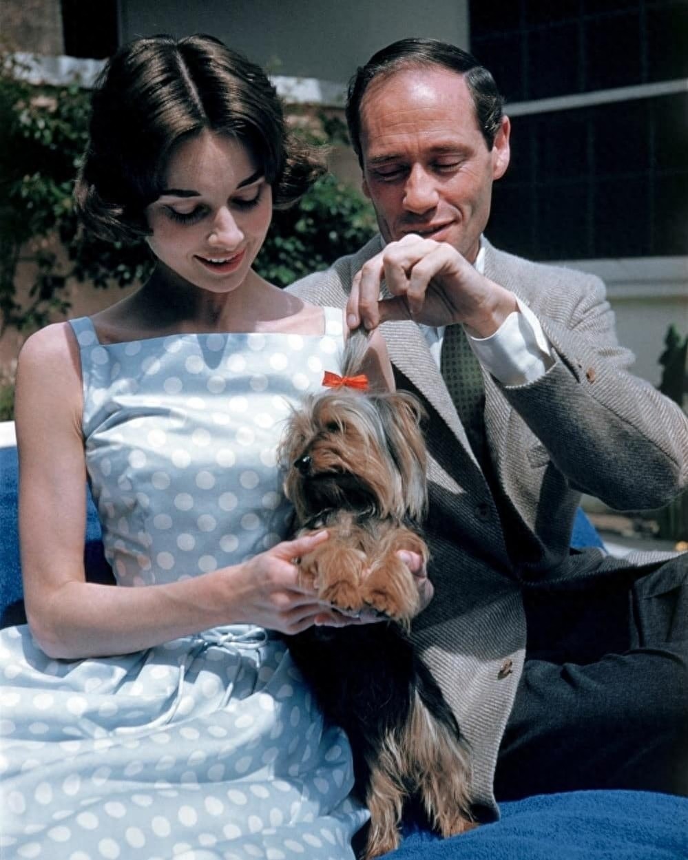 娱乐老照片:奥黛丽赫本与丈夫梅尔费勒