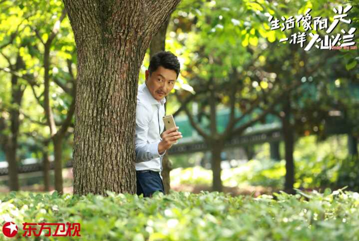 刘芸和宋佳很像(宋佳跟刘芸演的电视剧)