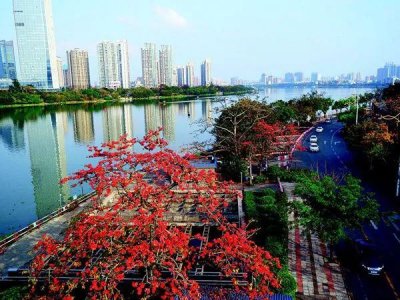 ​最近3个与大亚湾有关的新闻