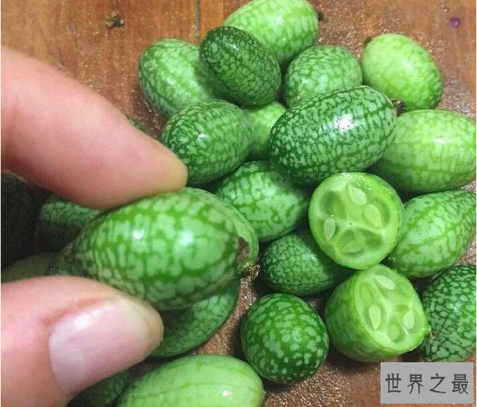 世界最小西瓜佩普基诺,只有3厘米大(1口10个)