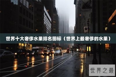 ​世界十大奢侈水果排名图标（世界上最奢侈的水果）