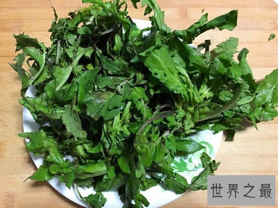 荠菜能够防癌抗癌？看荠菜图片教你如何活得更健康