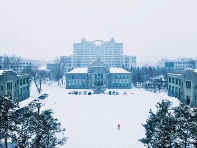 ​嗜好的近义词